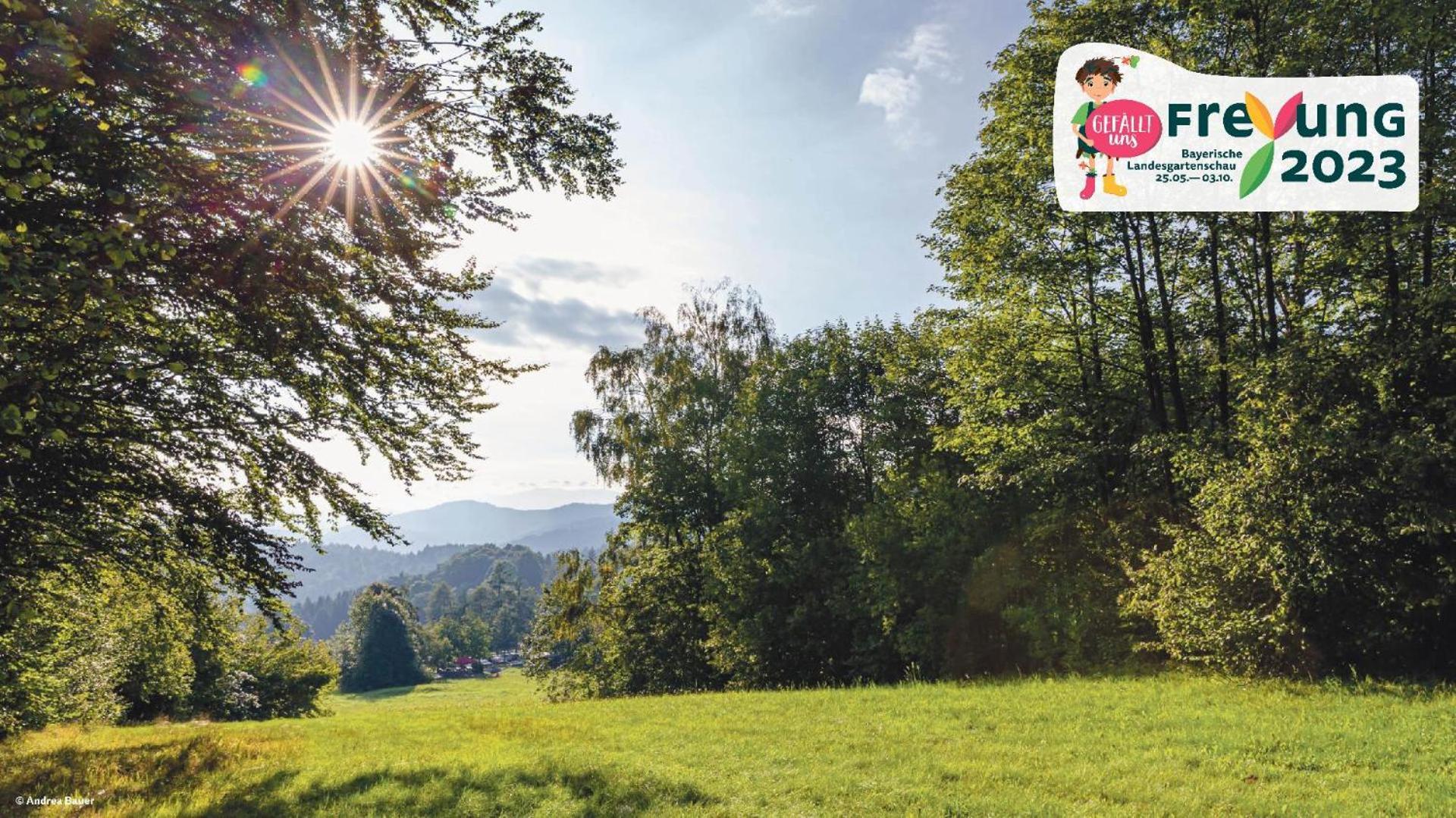 Ferienwohnungen Bayerischer Wald Mit Pool Freyung Exterior photo